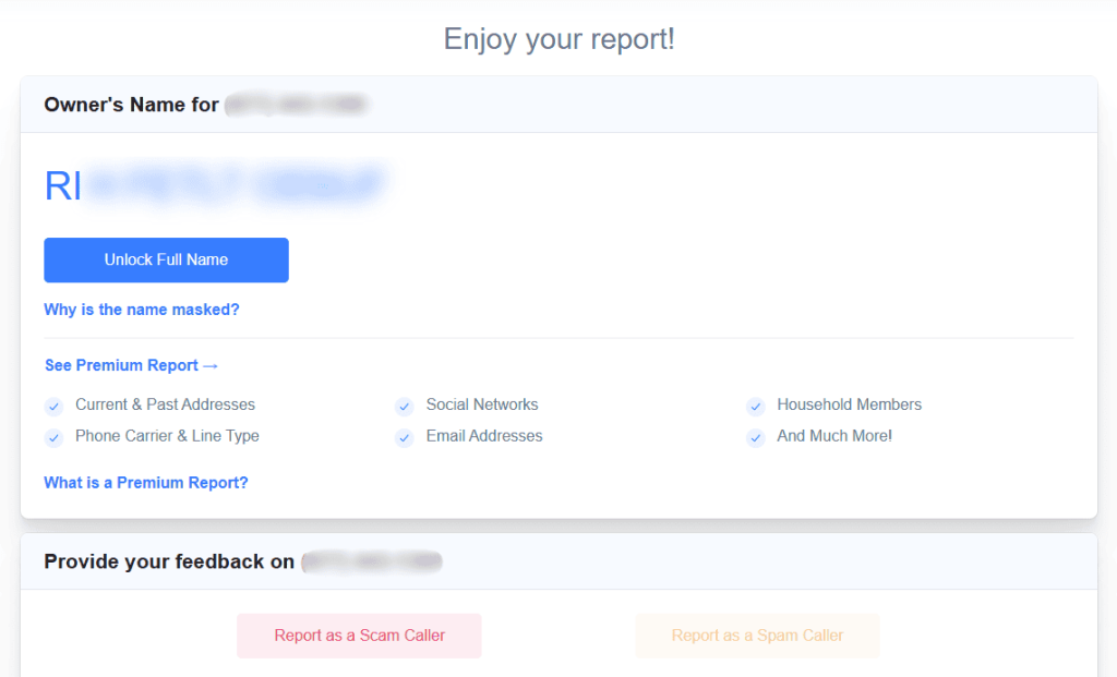 numlookup american report